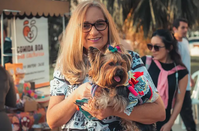 Direção criativa Festa Aunina